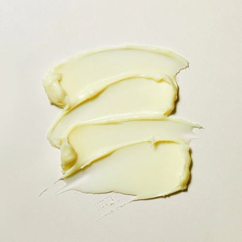 Revitalisez votre peau grâce à TORRIDEN SOLID IN Ceramide Cream